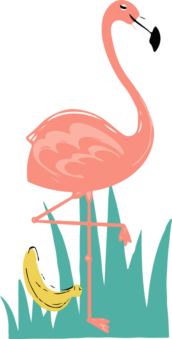 Transparent Flamingo on One Leg with Banana in Grass