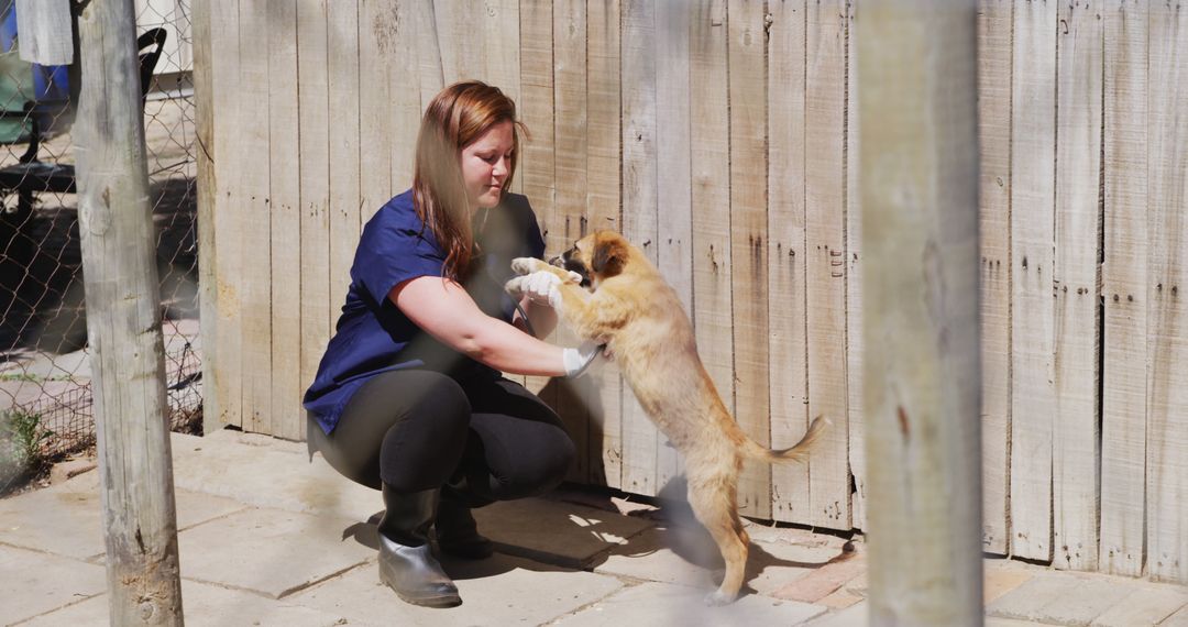 Female Animal Caregiver Playing with Puppy Near Wooden Fence - Free Images, Stock Photos and Pictures on Pikwizard.com