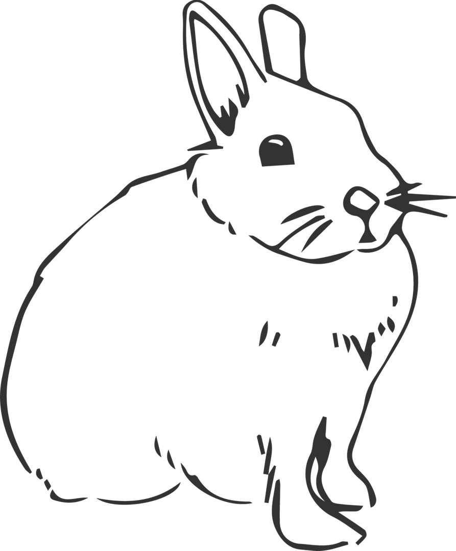 Hand Drawn Transparent Rabbit Illustration on Transparent Background - Download Free Stock Images Pikwizard.com