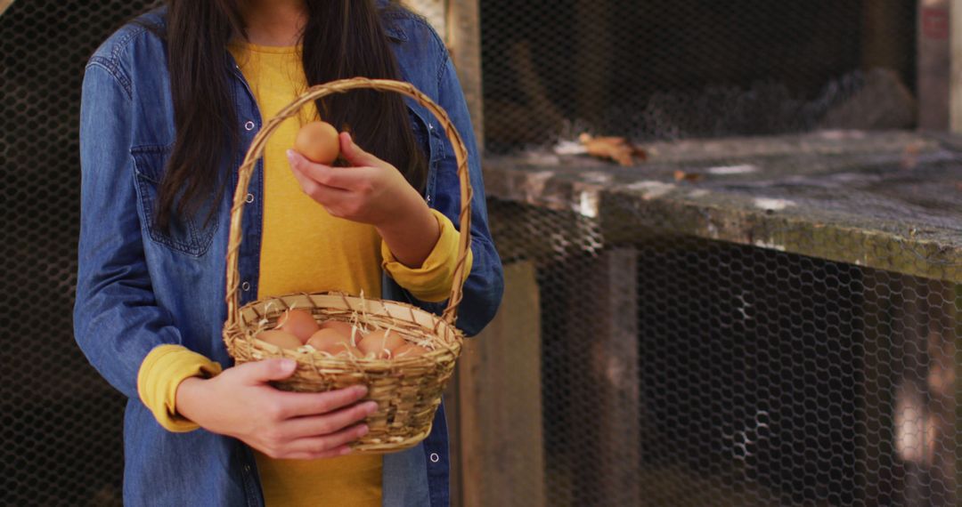 Woman Collecting Fresh Eggs in Chicken Coop - Free Images, Stock Photos and Pictures on Pikwizard.com