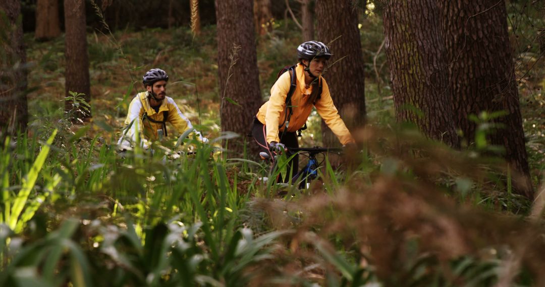 Adventurous Cyclists Exploring Forest Trails