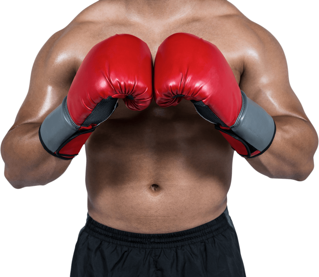 Boxer's Midsection with Red Gloves on Transparent Background