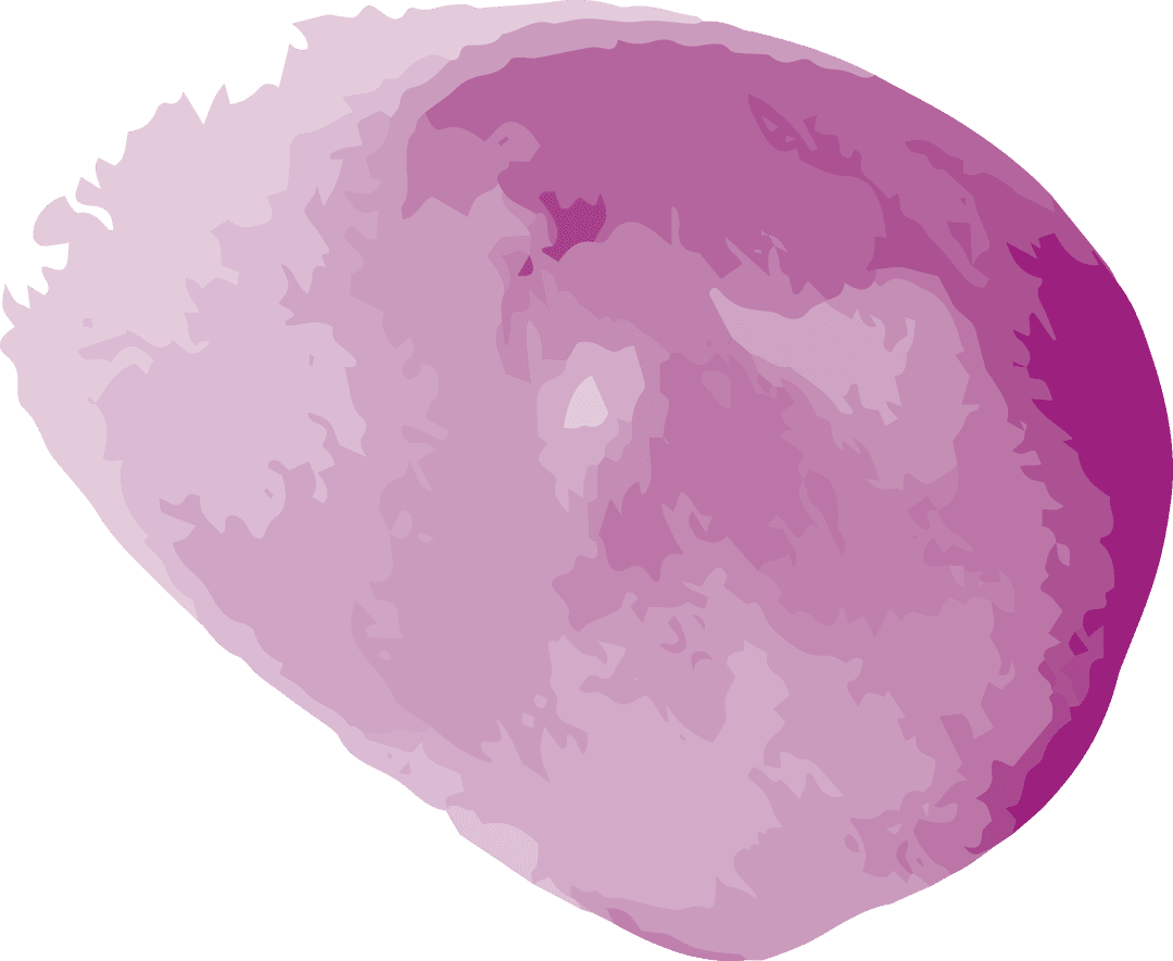 Abstract Pink Shape on Transparent Background for Creative Design