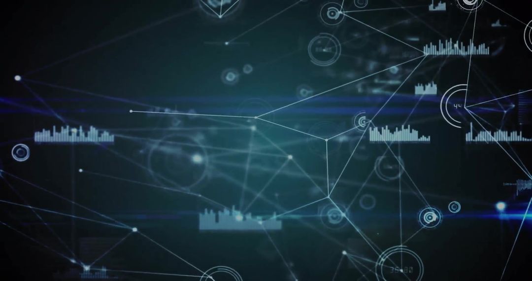 Digital Network Connections with Data Ecosystem Visualization