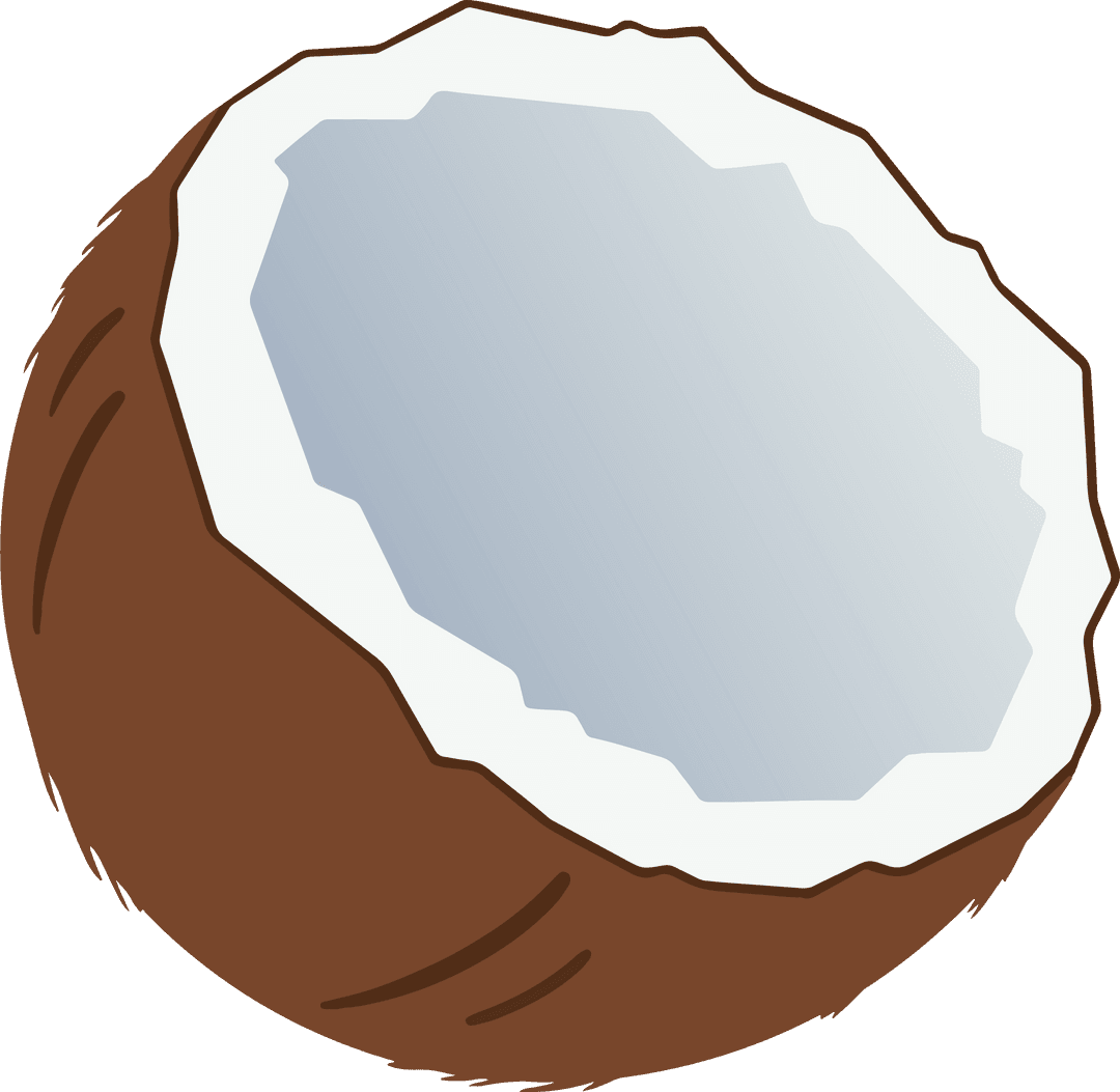 Minimalistic Half Coconut Illustration on Transparent Background