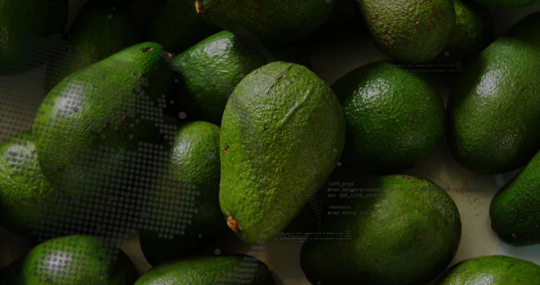 Fresh Ripe Avocados Arranged on Light Surface Displaying Natural Texture