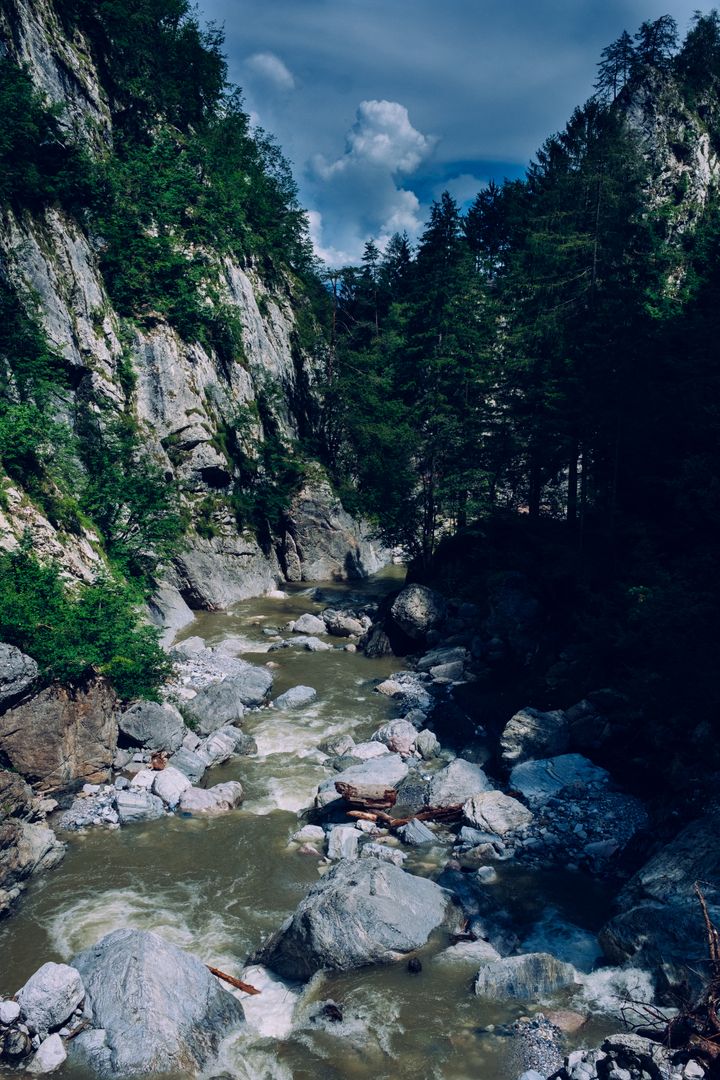 Wild River Flowing Through Rocky Mountain Pass in Forest - Free Images, Stock Photos and Pictures on Pikwizard.com