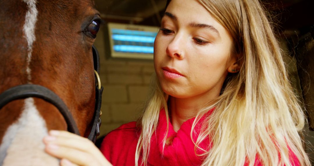 Young Woman Bonding with Horse in Stable - Free Images, Stock Photos and Pictures on Pikwizard.com