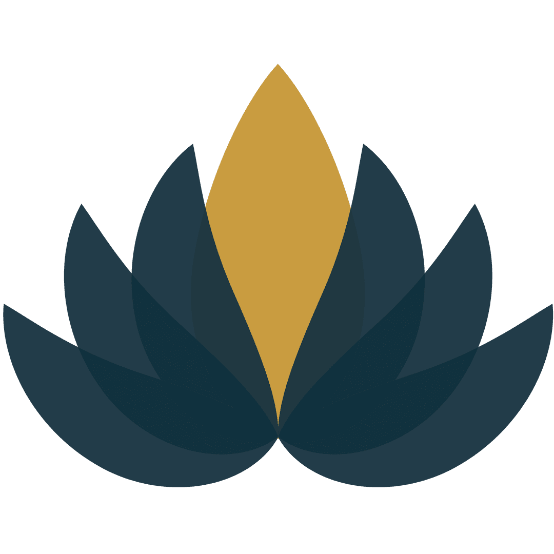 Abstract Black and Orange Leaf Pattern on Transparent Background