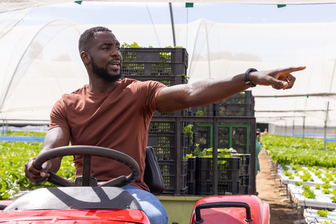 Man Directing Agriculture Operations from Tractor in Greenhouse