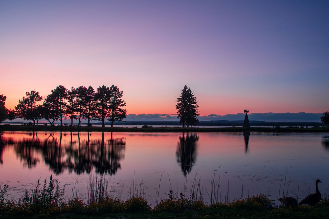 Serene Sunset Reflections over Calm Lake with Tree Silhouettes, Mirror Water and Goose