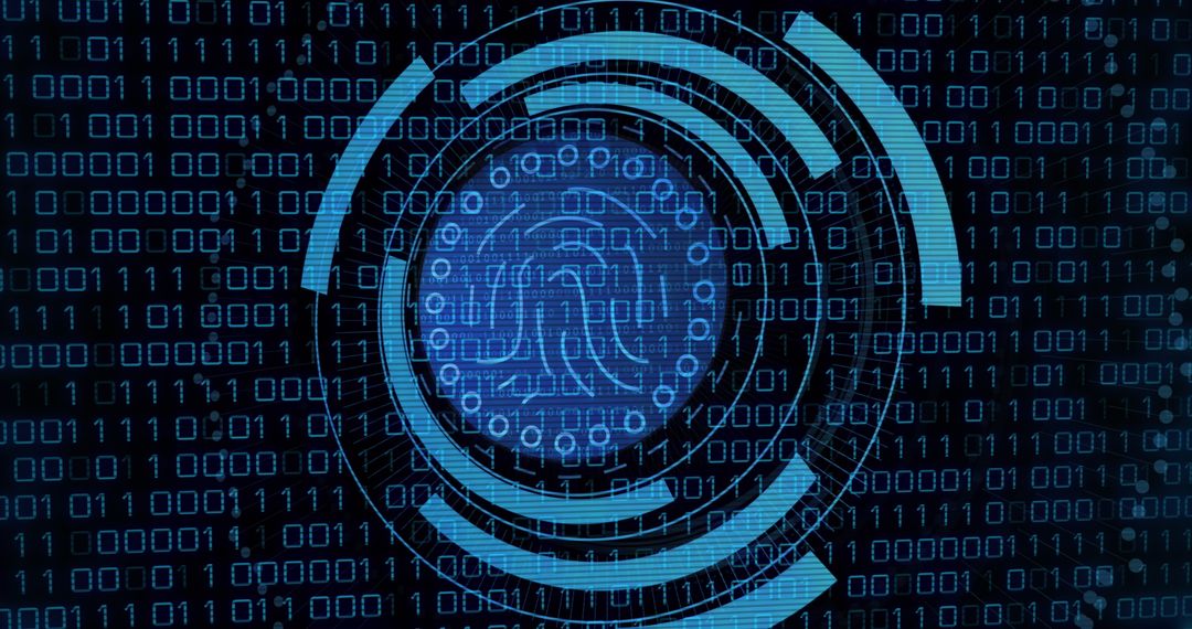 Digital binary data with biometric security interface