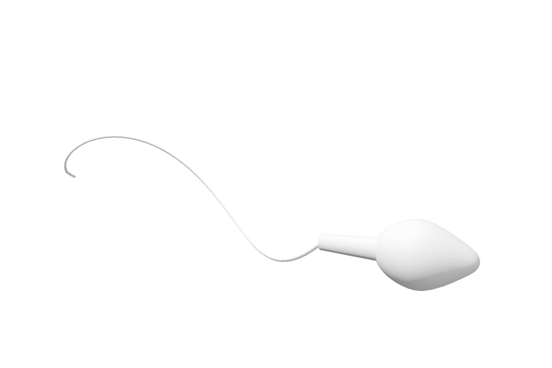 Transparent Illustration of Single Human Sperm Cell with Tail