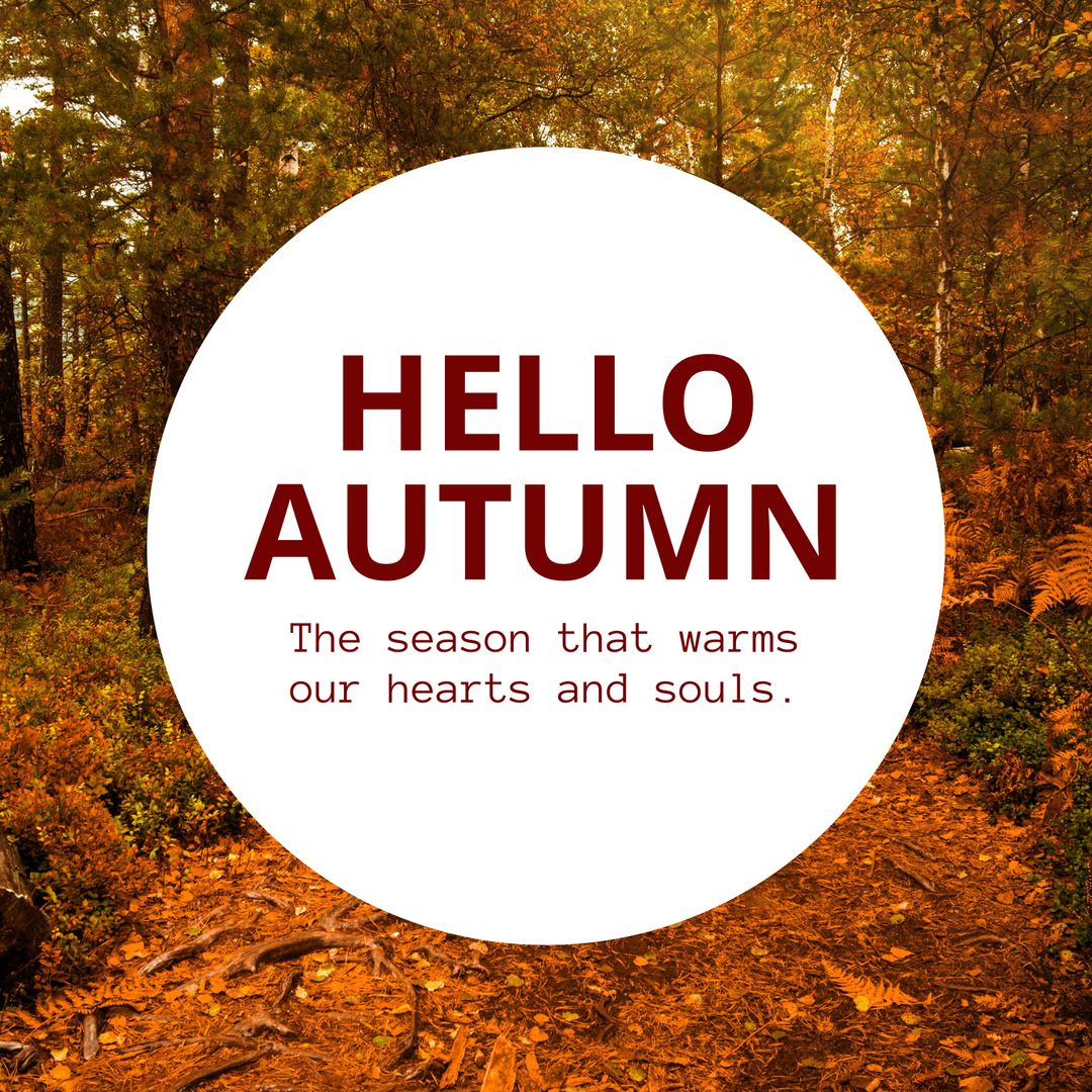 Inviting Text Overlay on Autumn Forest Path