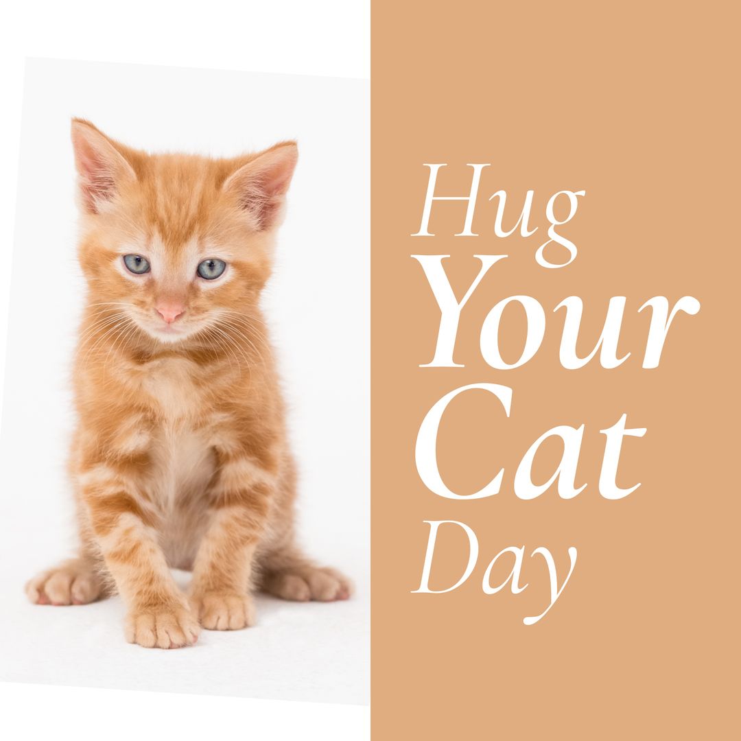 Hug Your Cat Day Celebration with Cute Ginger Kitten and Text