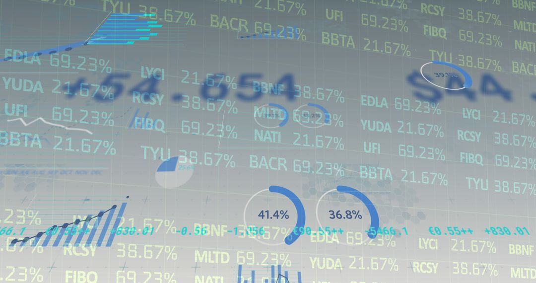 Digital Financial Data and Statistics Representation
