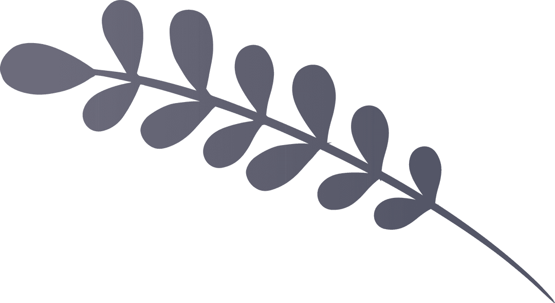 Stylized Dark Gray Leaf Branch on Transparent Background