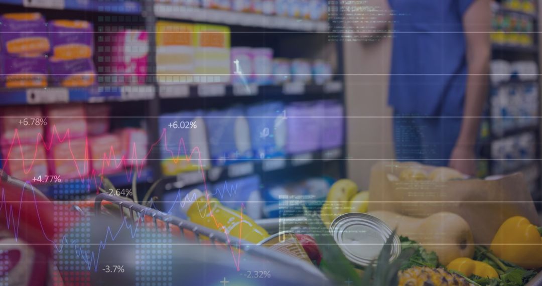 Grocery Shopping with Overlay of Financial Data Analytics