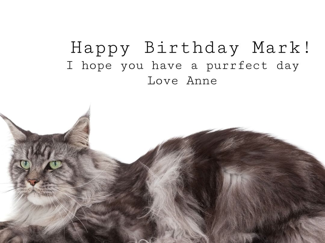 Majestic Cat Birthday Greeting with Personal Message - Download Free Stock Templates Pikwizard.com