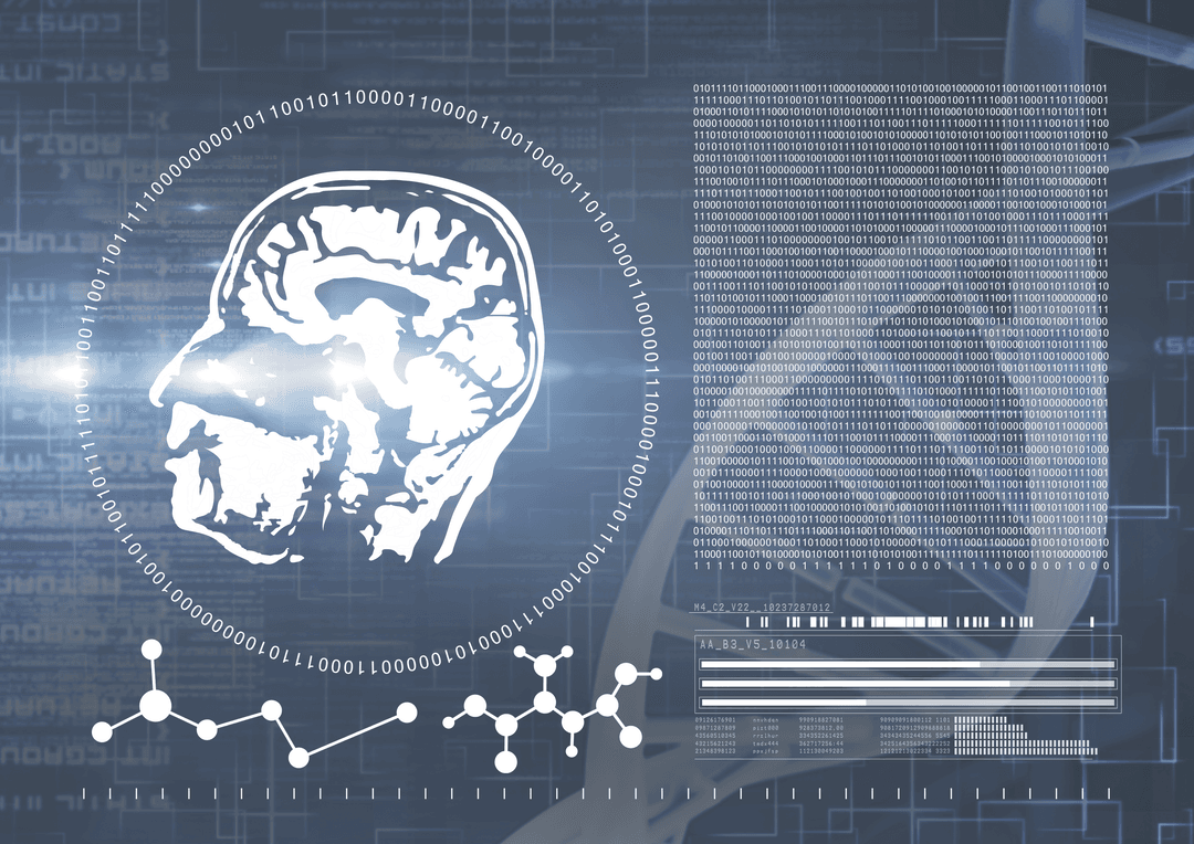 Transparent Interface with Digital Brain Scan