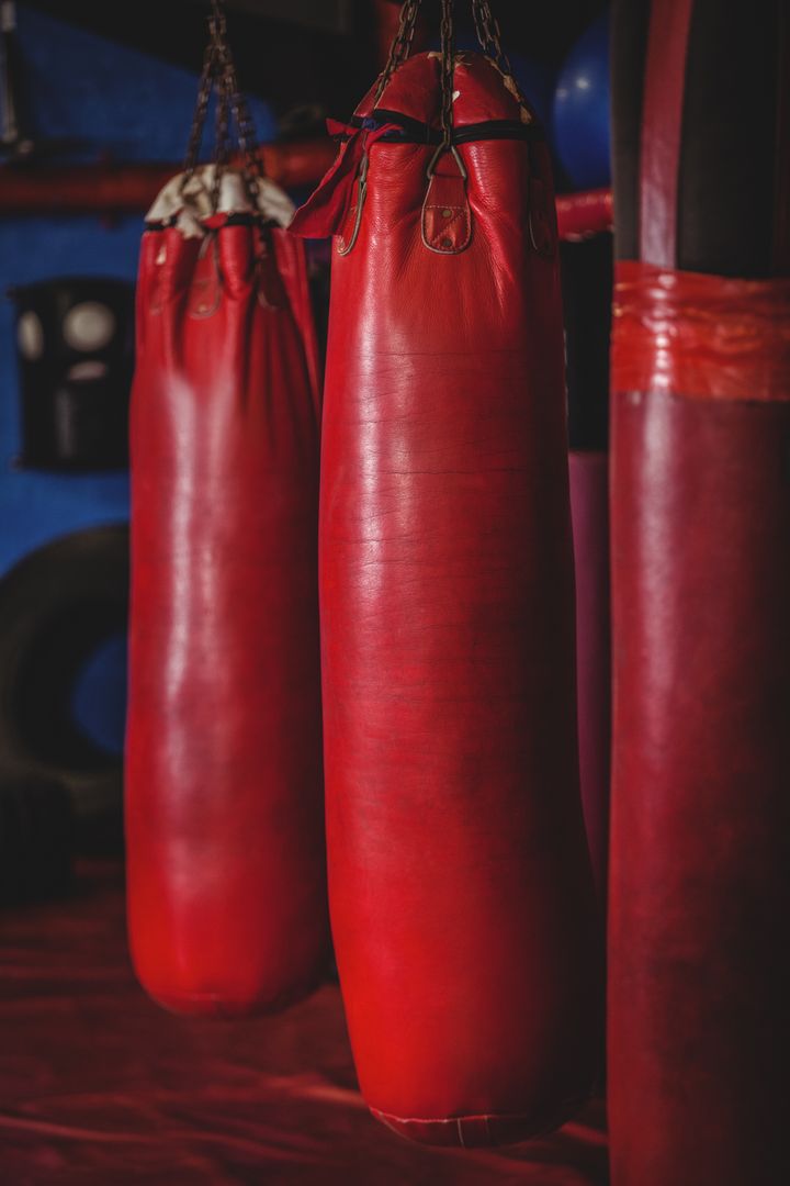 Red Punching Bags Hanging in Fitness Studio - Free Images, Stock Photos and Pictures on Pikwizard.com