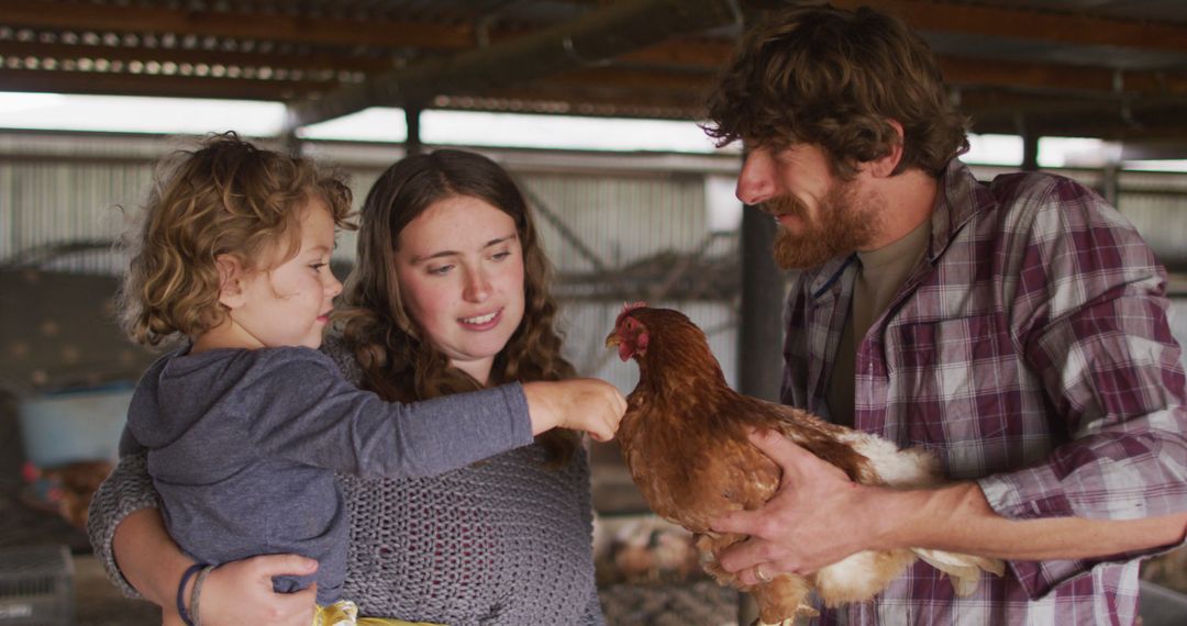 Family with child holding chicken on farm, bonding and happiness - Free Images, Stock Photos and Pictures on Pikwizard.com