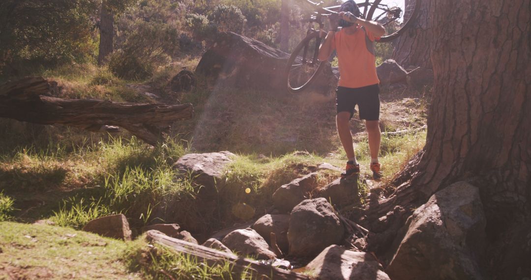 Mountain Biker Carrying Bike Over Rough Terrain in Forest - Free Images, Stock Photos and Pictures on Pikwizard.com