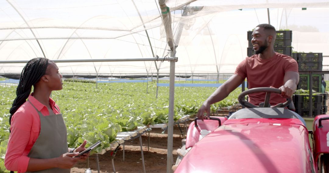 Farm Worker on Tractor Conversing with Colleague Inside Greenhouse