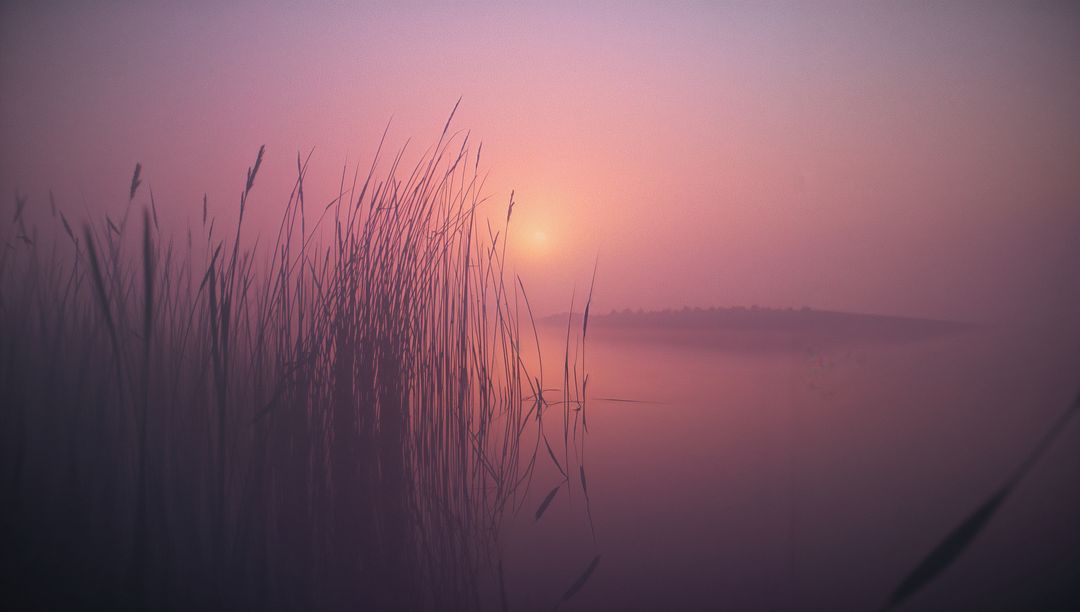 Misty Dawn Lakeshore with Reeds in Tranquil Reflection