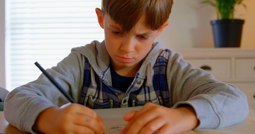 Focused Boy Doing Homework at Home - Free Images, Stock Photos and Pictures on Pikwizard.com