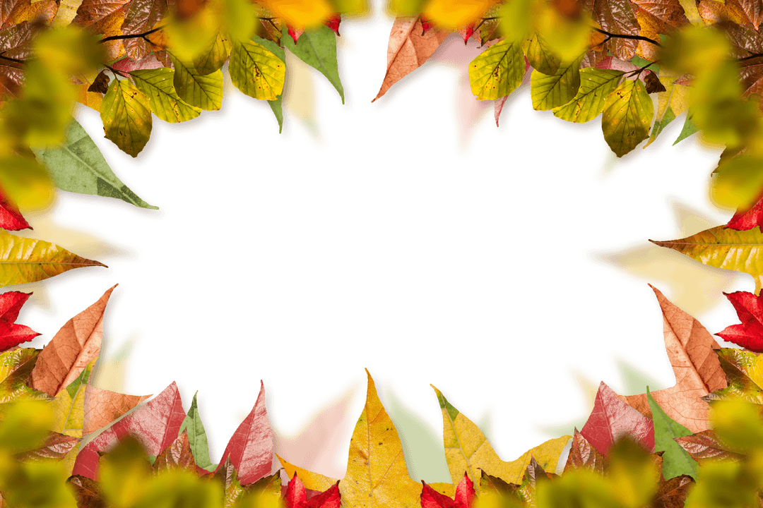 Autumn Leaves Transparent Frame Design with Copy Space - Download Free Stock Images Pikwizard.com