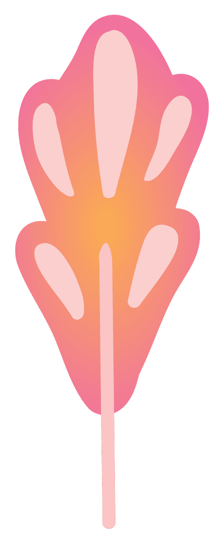 Stylized Pink Plant with Copy Space on Transparent Background