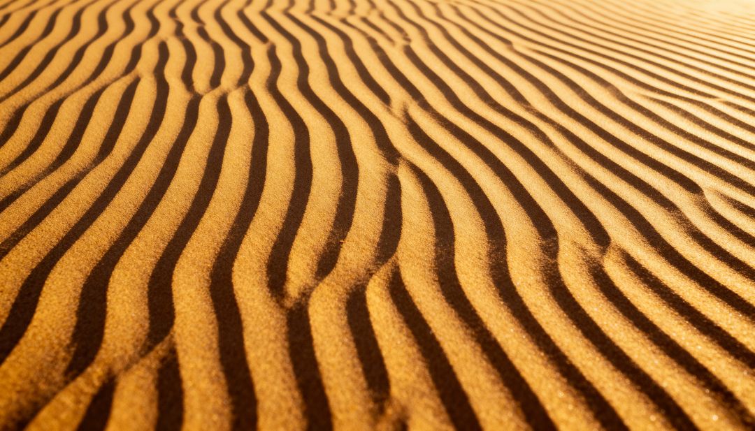 Golden Sand Ripples and Shadow Patterns on Wind-sculpted Desert Dunes, Close-up