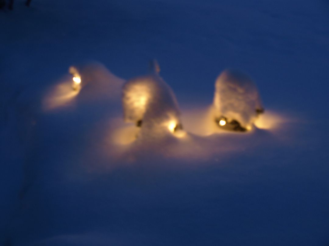 Snow-Covered Outdoor Lights Gently Glowing at Dusk - Free Images, Stock Photos and Pictures on Pikwizard.com