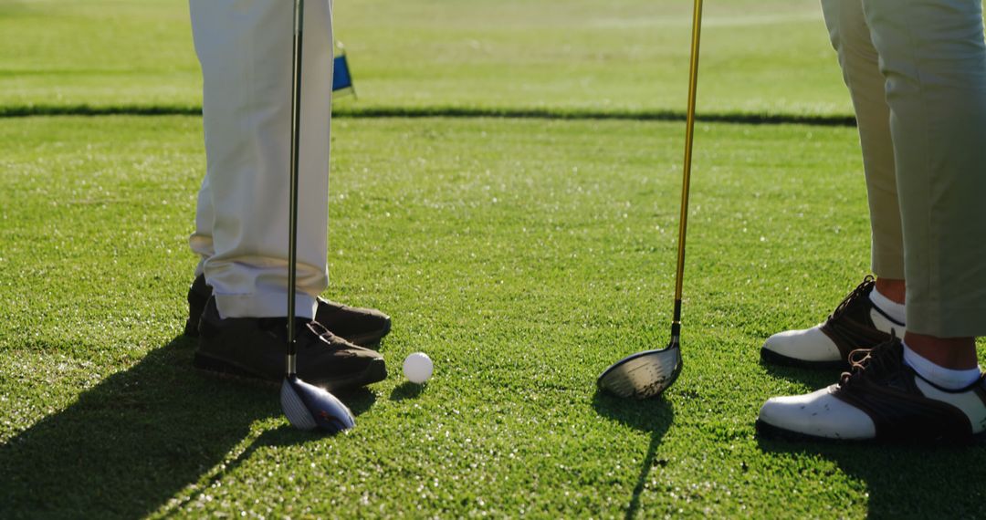 Golfers Preparing for Shot on Green Course - Free Images, Stock Photos and Pictures on Pikwizard.com