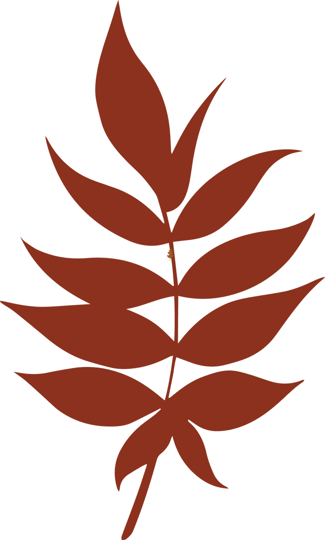 Rust Brown Leaf Branch Silhouettes on Transparent Background