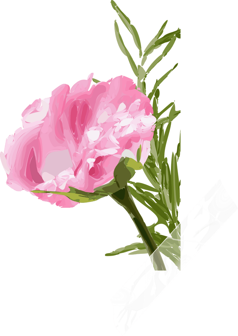 Elegant Pink Peony Bloom with Transparent Tape