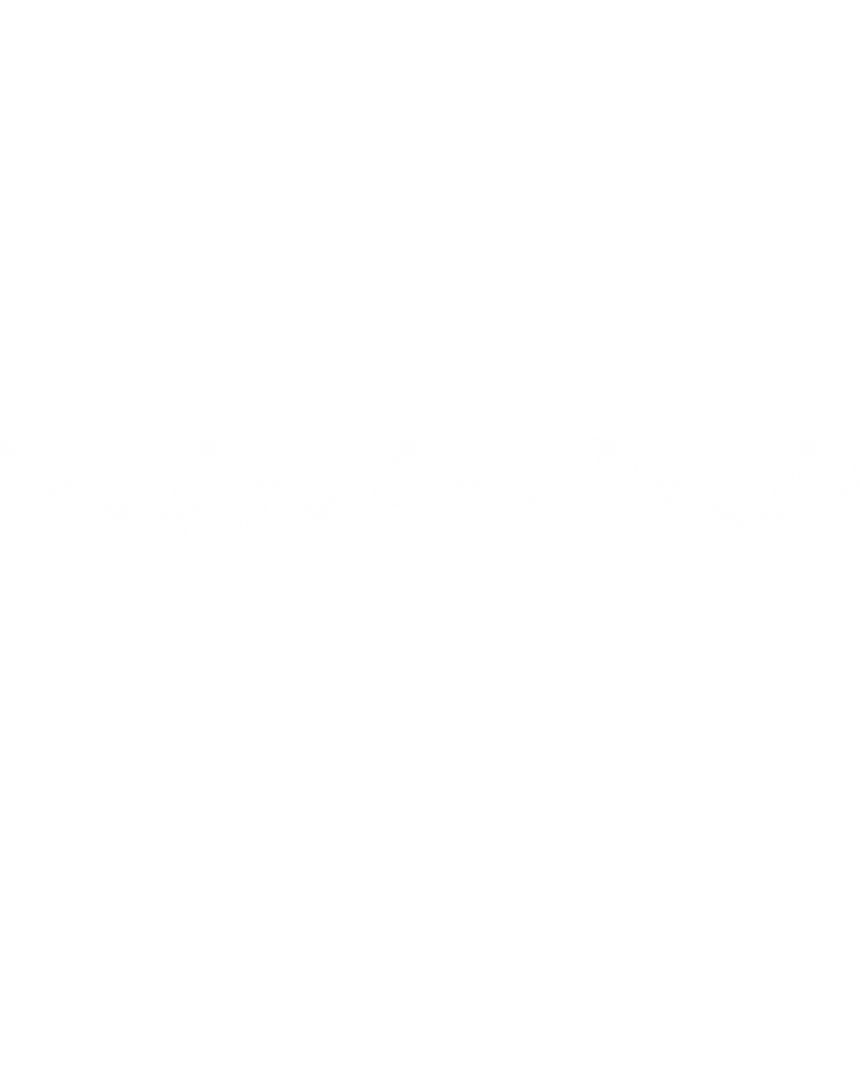 Vector Snow Border with Transparent Background