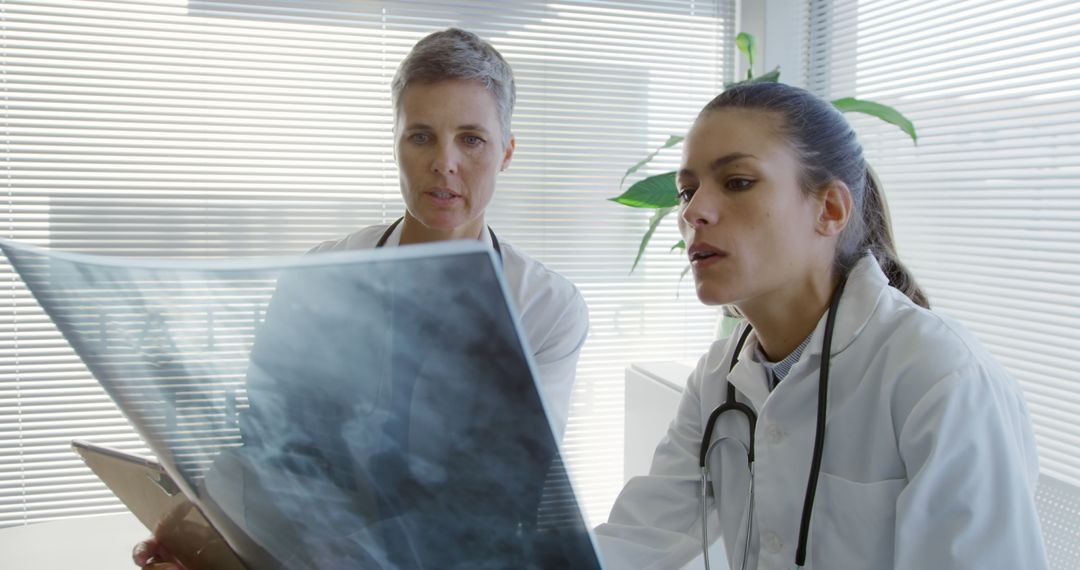 Doctors Analyzing X-ray Image in Modern Medical Office - Free Images, Stock Photos and Pictures on Pikwizard.com