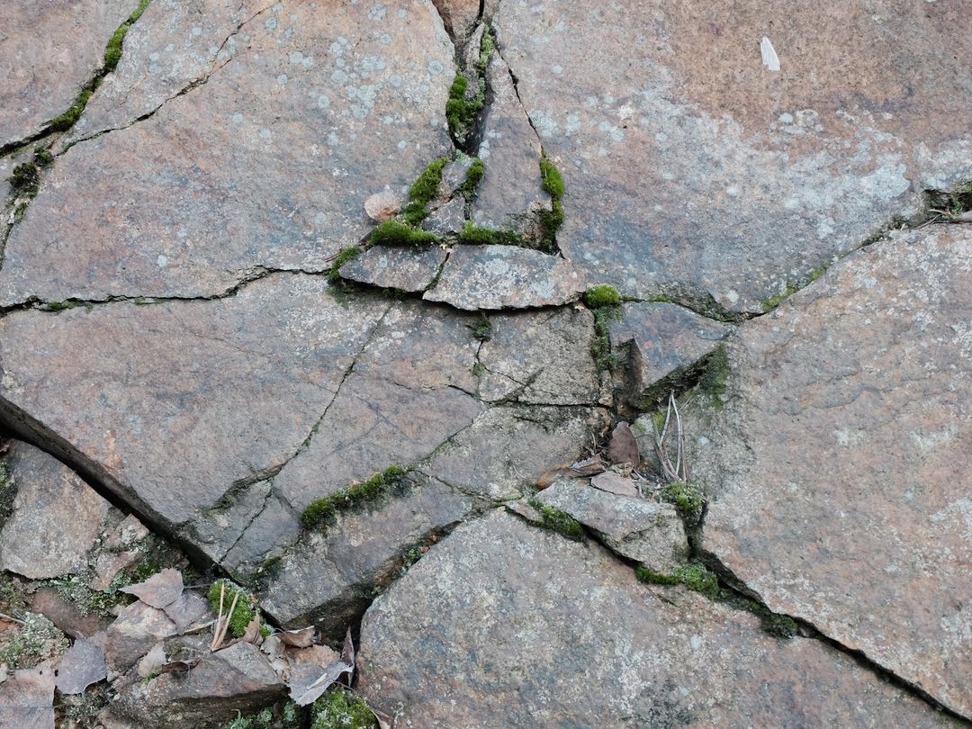 Weathered Stone Surface with Natural Cracks and Moss Growth - Free Images, Stock Photos and Pictures on Pikwizard.com