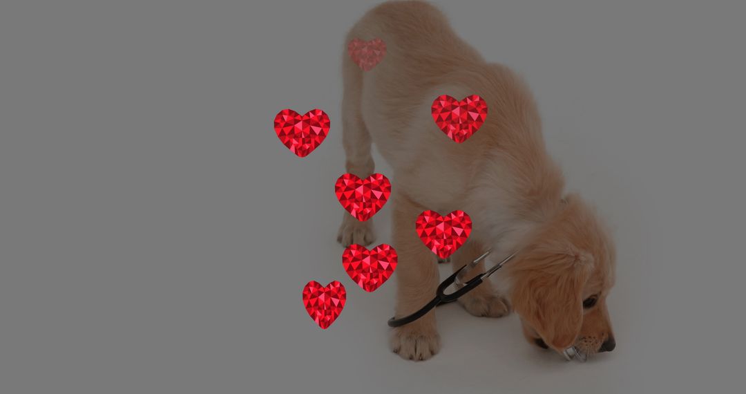 Golden Retriever Puppy with Red Heart Symbols in Loving Atmosphere