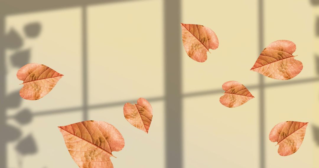 Autumn Leaves Floating with Window Shadow Background