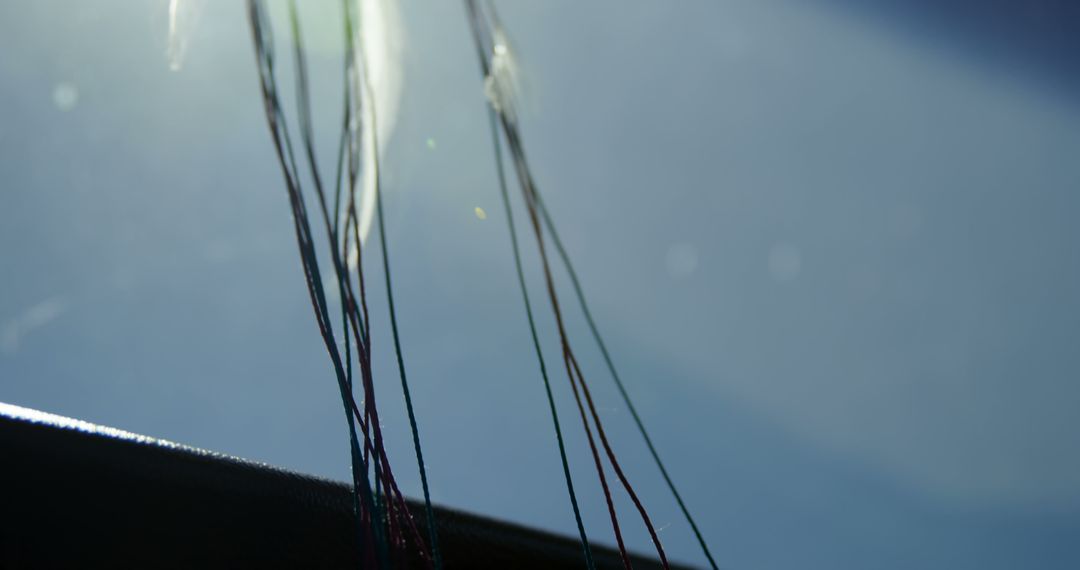 Close-Up of Fiber Optic Cables Against Blue Sky - Free Images, Stock Photos and Pictures on Pikwizard.com