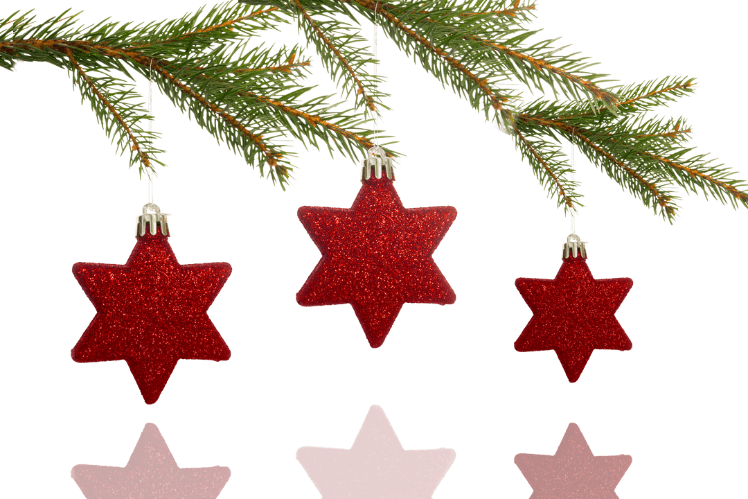 Transparent Red Star Ornaments Hanging from Fir Branch