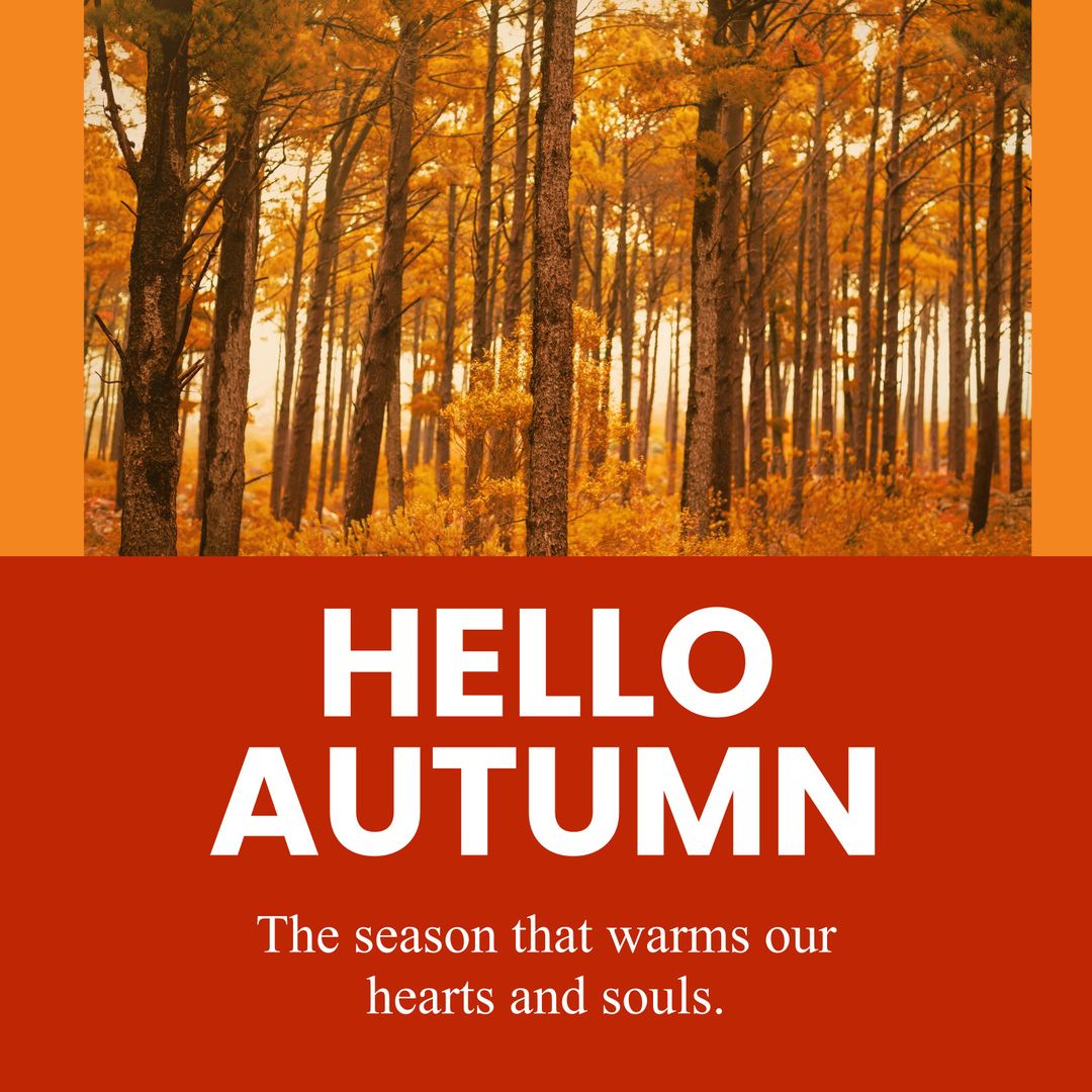 Welcome Autumn with Colorful Forest Trees