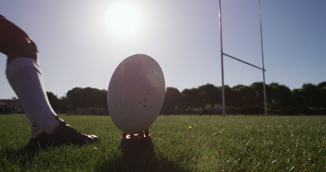 Rugby Player Kicking Ball on Field with Sunflare - Free Images, Stock Photos and Pictures on Pikwizard.com