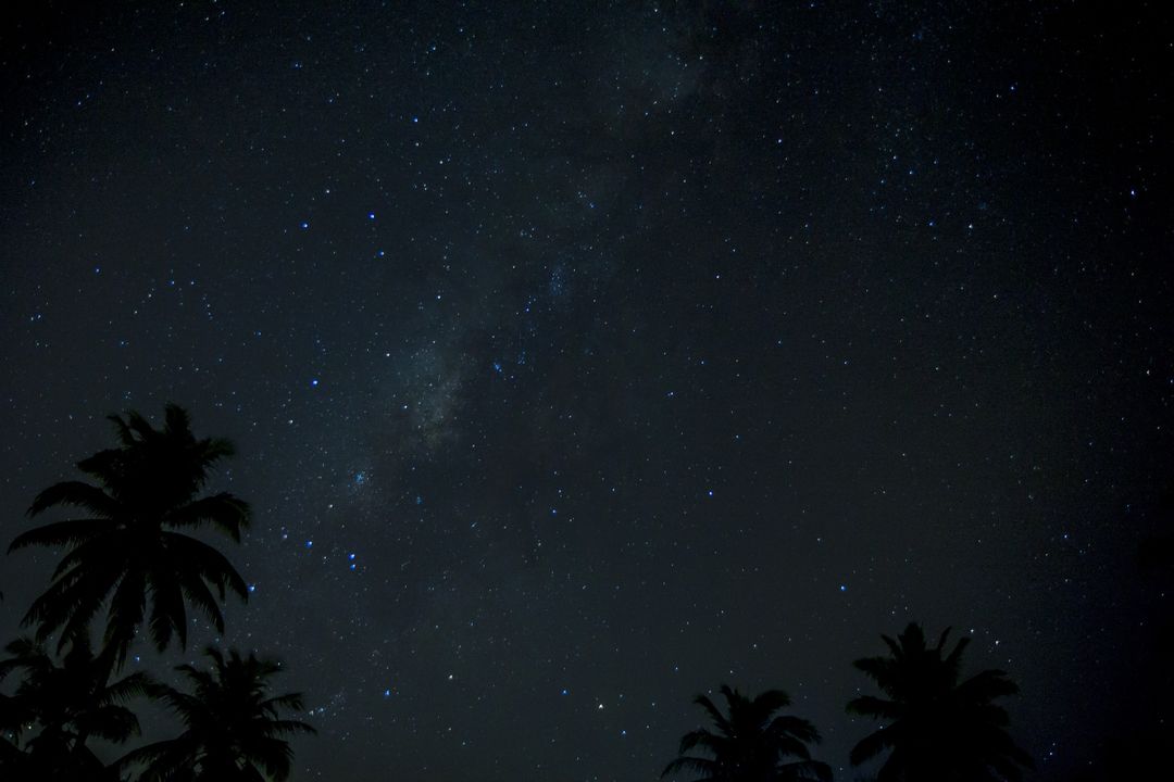 Starry Night Sky with Silhouetted Palm Trees - Free Images, Stock Photos and Pictures on Pikwizard.com