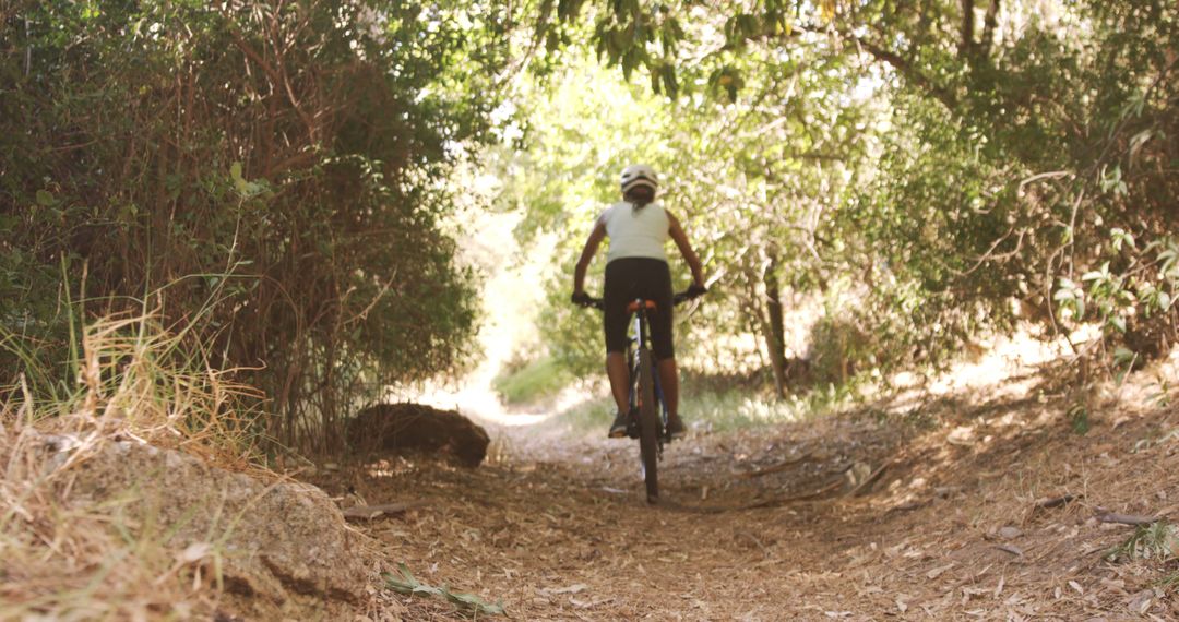 Cyclist Exploring Forest Trail on a Sunny Day - Free Images, Stock Photos and Pictures on Pikwizard.com