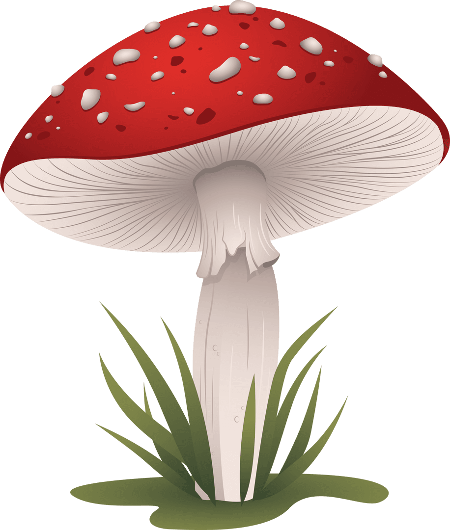 Red Toadstool with Grass on Transparent Background Illustration