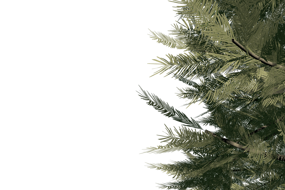 Realistic Transparent Christmas Tree Branches Illustration